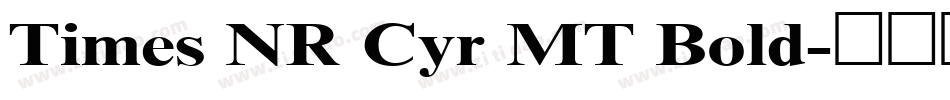 Times NR Cyr MT Bold字体转换